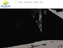 Tablet Screenshot of bramex.com.mx